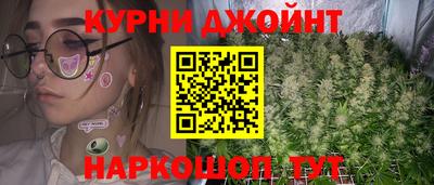 гидра Кимры