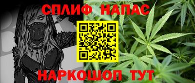 гидра Кимры