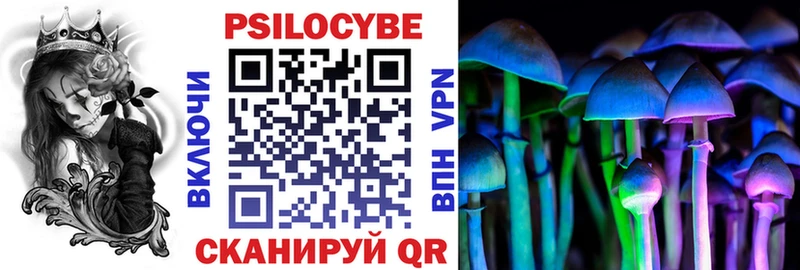MEGA маркетплейс  Арзамас  Галлюциногенные грибы Psilocybine cubensis 