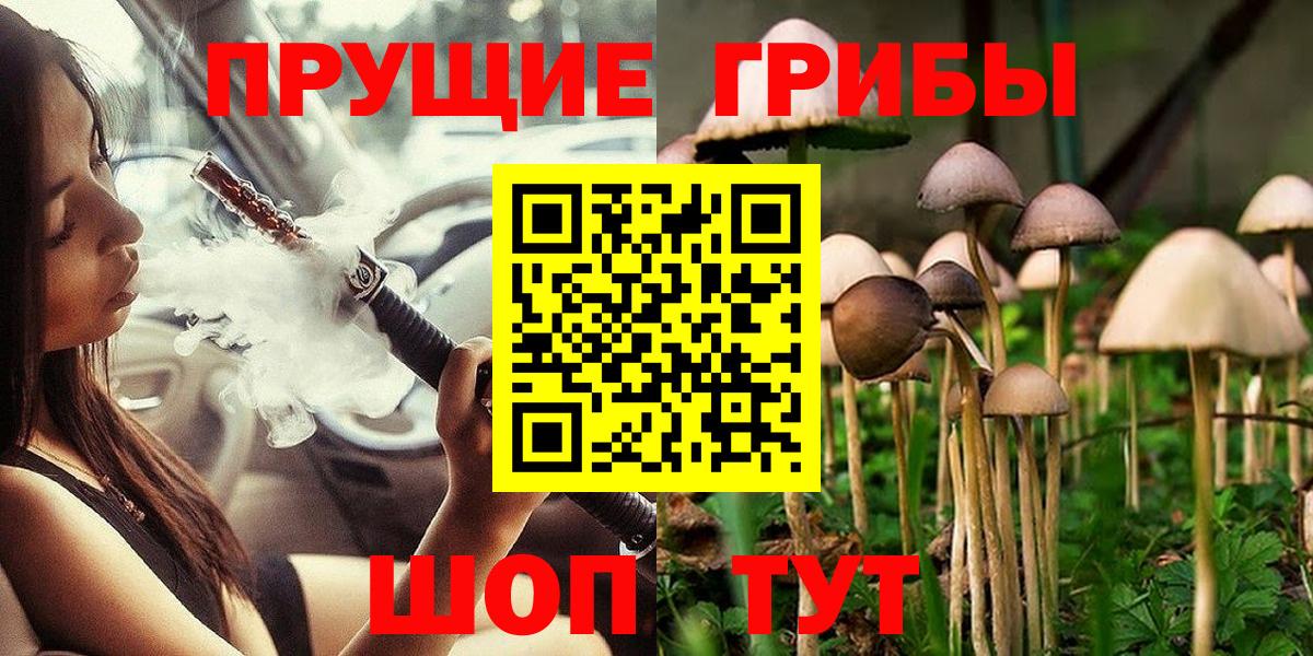 продажа наркотиков  Галлюциногенные грибы MAGIC MUSHROOMS  Вход с VPN  Арзамас 